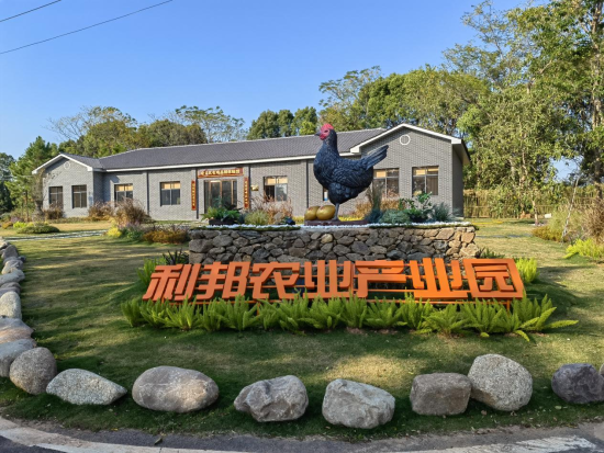 江西南昌：90后小伙養(yǎng)雞創(chuàng)業(yè) 譜寫鄉(xiāng)村振興“青春之歌”